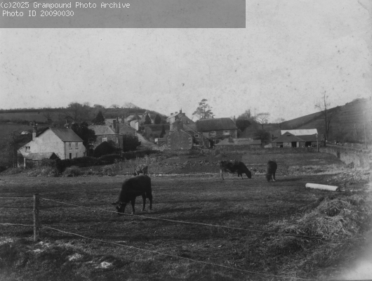 Picture of Cattle near old bridge