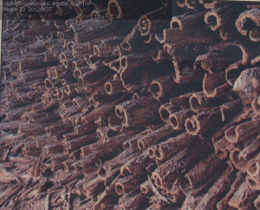 Picture of Manor Tannery 2000